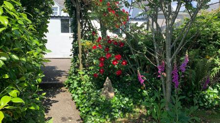 garden.jpg