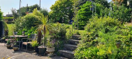 front garden.jpg