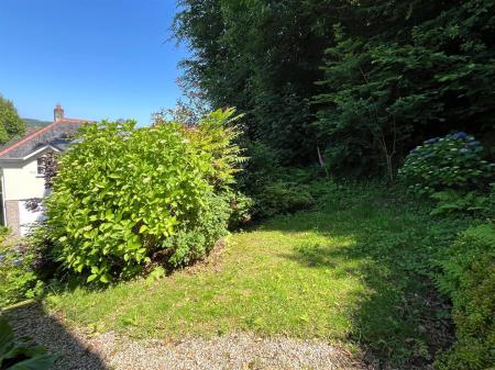 garden .JPG