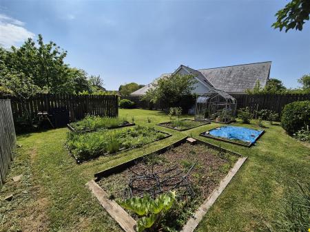 vegetable area.jpg