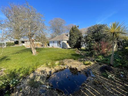 garden 4.jpg