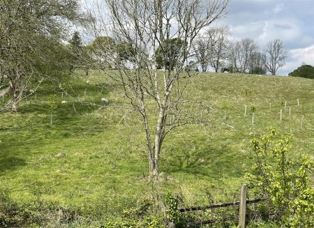 view from bedroom.jpeg