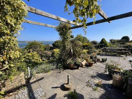 garden 2.jpg