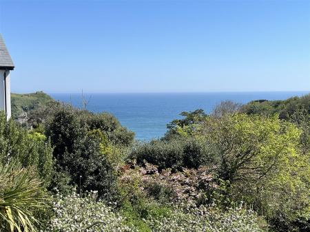 view.JPG