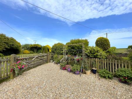 Garden 6.jpg
