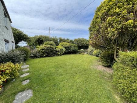 Garden 4.jpg