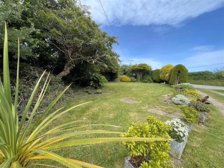 Garden 8.jpg