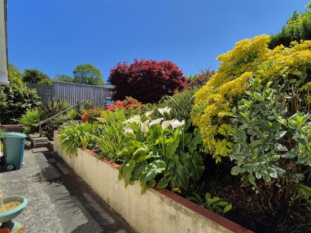 Rear garden.jpg