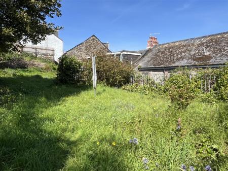 garden 2.JPG
