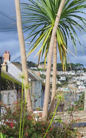front garden view cropped