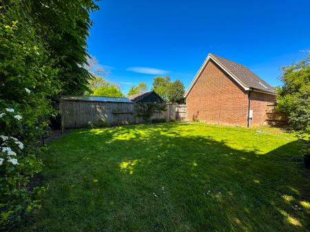 Media image 25