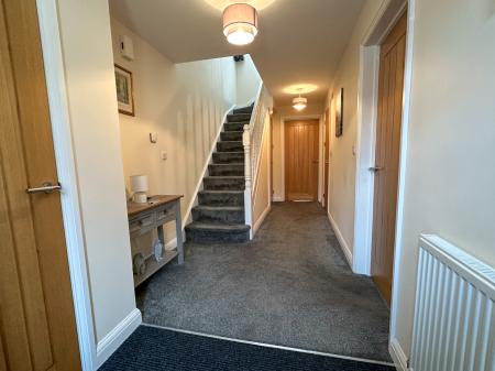 Media image 04
