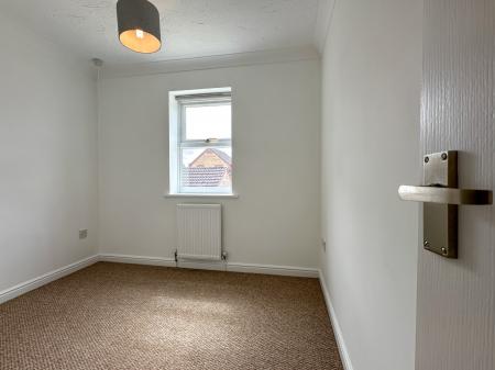 Media image 12