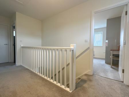 Media image 11