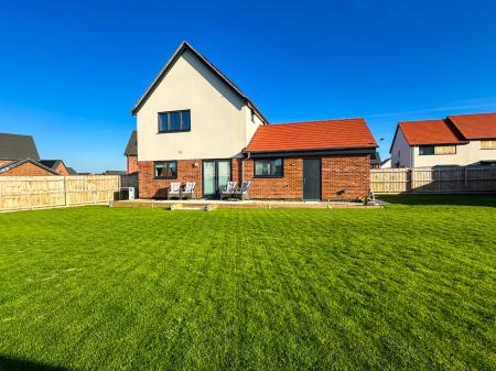 Media image 21