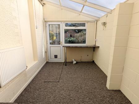 PXL_20250303_1307177352