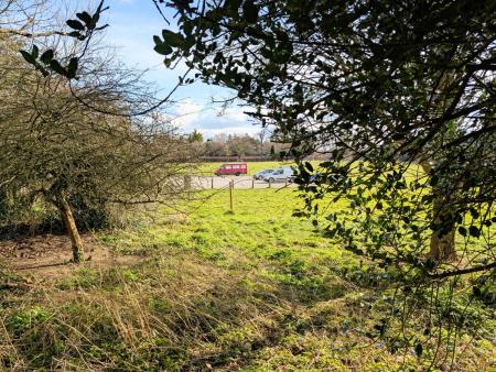 PXL_20250303_1309513912