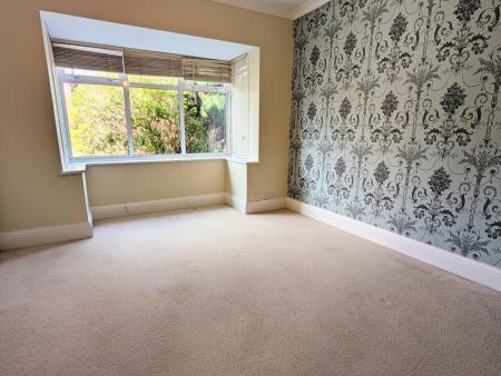 PXL_20250303_1301164452