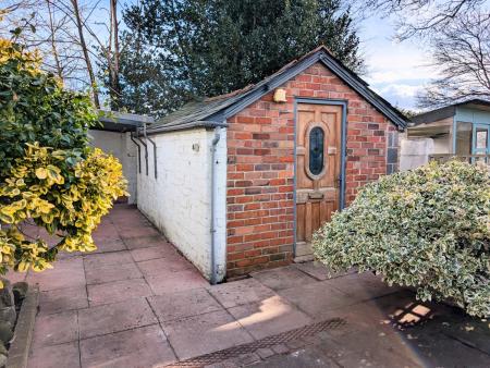 PXL_20250303_1309154162