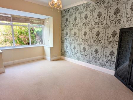 PXL_20250303_1300325662