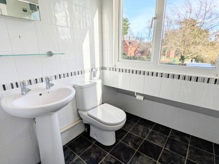 PXL_20250303_1256406962