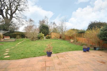 garden 1.jpg