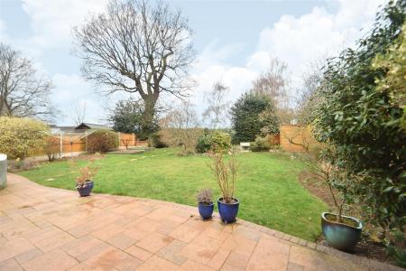 garden.jpg