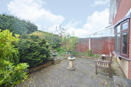garden 1.jpg
