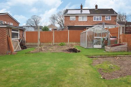 garden.jpg