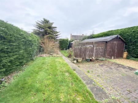 Back Garden.jpeg