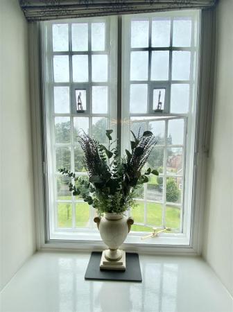 IMG_5526.jpg