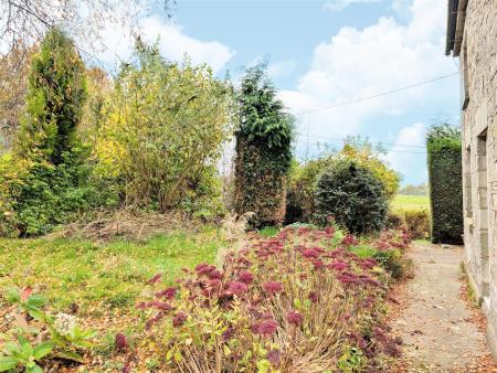 garden 1.jpg