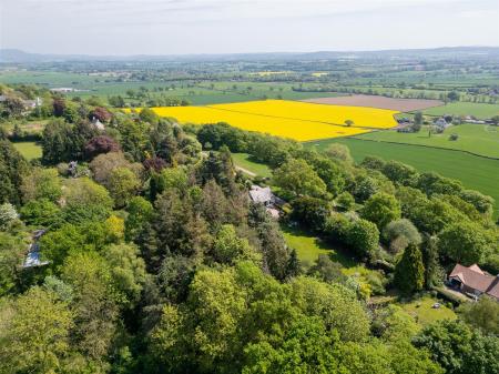 015_DJI_0636.jpg