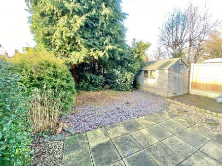 garden 2.jpg