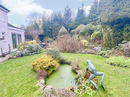 garden 1.jpg