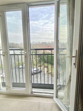 IMG_7965.jpeg