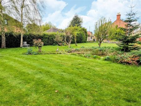 garden 3.jpg