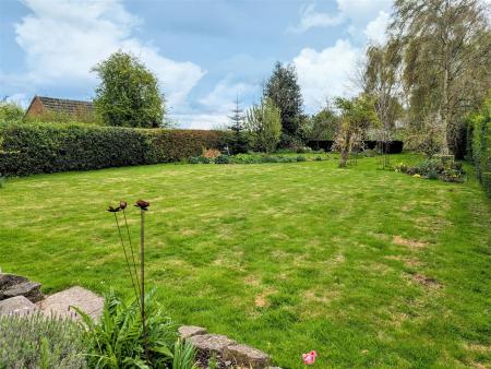 garden 1.jpg