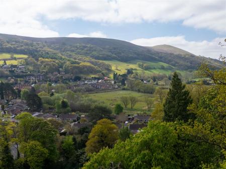 019_DJI_0457.jpg
