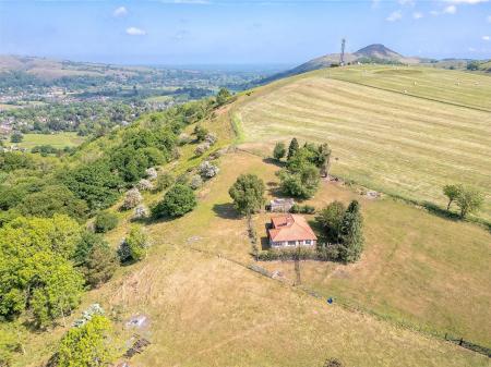 009_DJI_0980H.jpg