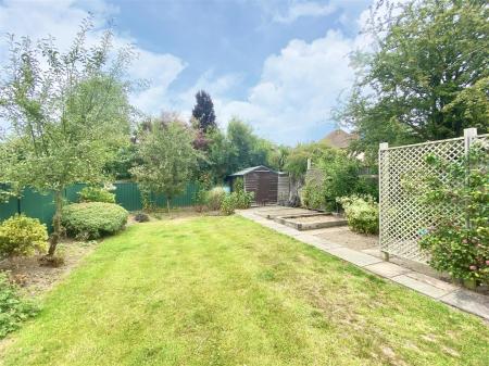 garden 1.jpg