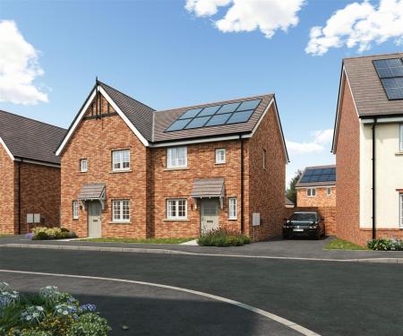Plot 24