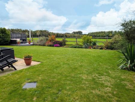 garden 2.jpg