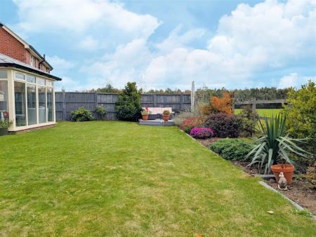 garden.jpg
