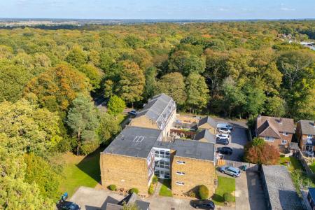 DJI_20250930132943_0235_D copy.jpg