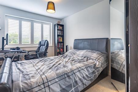 3, Nuthatch (19).jpg