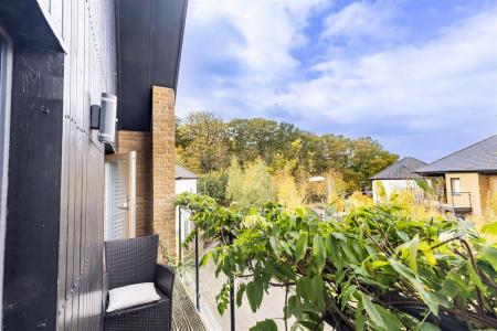 3, Nuthatch (21).jpg