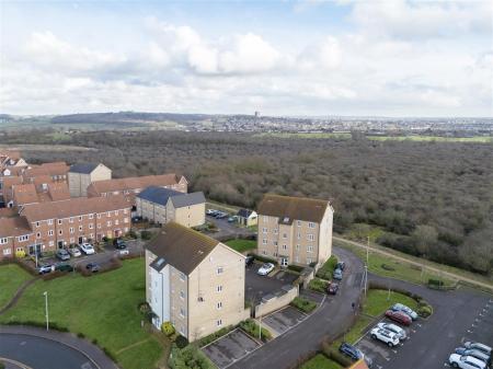 DJI_20260128132007_0734_D copy.jpg