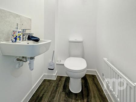 image5
