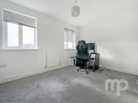 image4